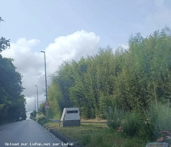 FRANCE photo du radar Blanquefort Avenue du 11 Novembre 33 - Gironde