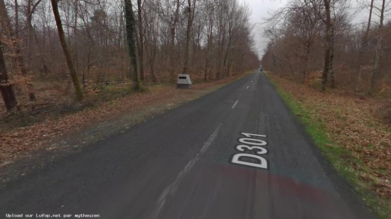 FRANCE photo du radar Fontainebleau D301 77 - Seine-et-Marne